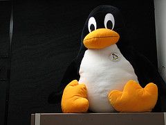 Most Popular Linux Distributions and Why They Dominate the Market ...